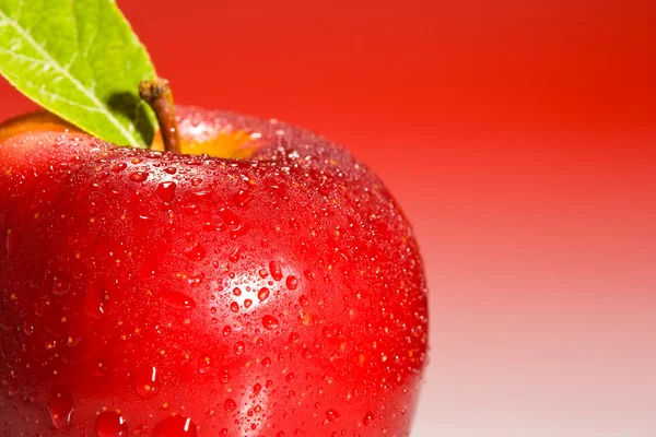 Rojo Apple primer plano — Foto de Stock