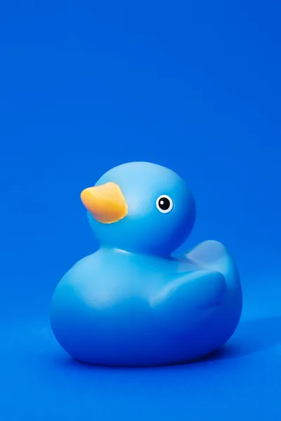 stock image Blue Rubber Duck on blue background