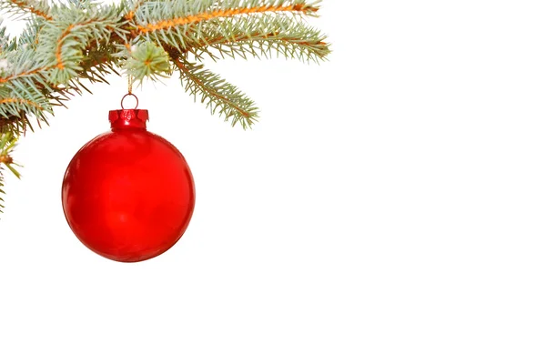 Bright red Christmas bauble on tree — Zdjęcie stockowe