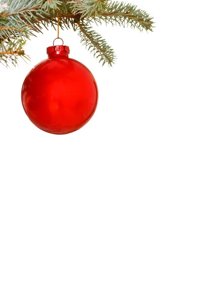 Bola de Navidad roja brillante en el árbol — Foto de Stock