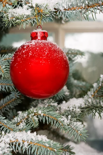 Christmas bauble on tree — Stock Photo, Image