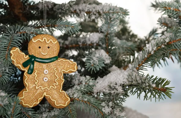 Christmas ginger bread boy on tree Obrazek Stockowy