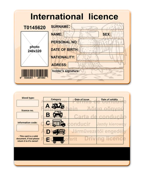 Patente di guida — Foto Stock