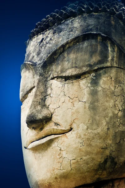 Kő fej-Buddha — Stock Fotó