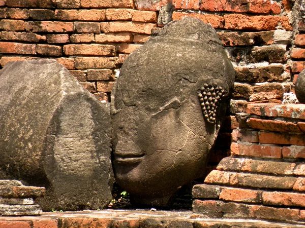 Ajutthai 废墟的一尊佛头 — 图库照片