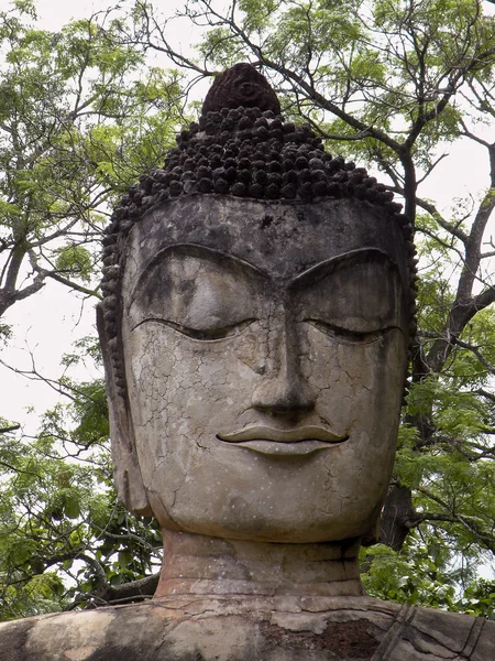 Stenen hoofd van Boeddha — Stockfoto