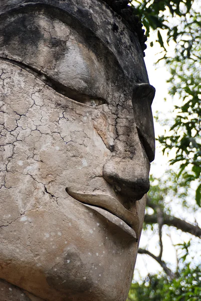 Каменный глава Будды — стоковое фото