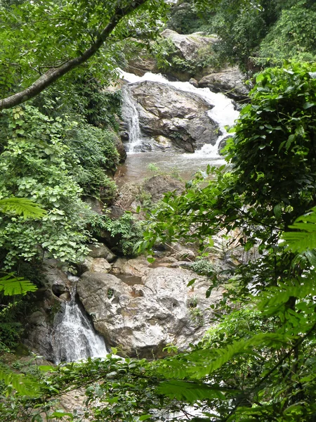 Vattenfall i djungeln Royaltyfria Stockbilder