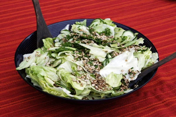 Lente salade Stockfoto