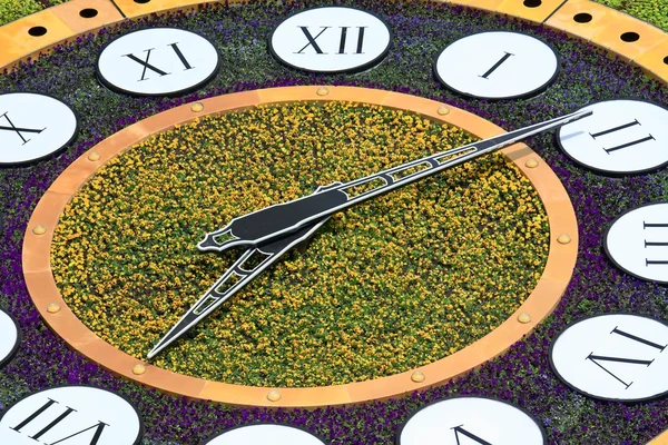 Çiçeklerden yapılmış büyük saat — Stok fotoğraf