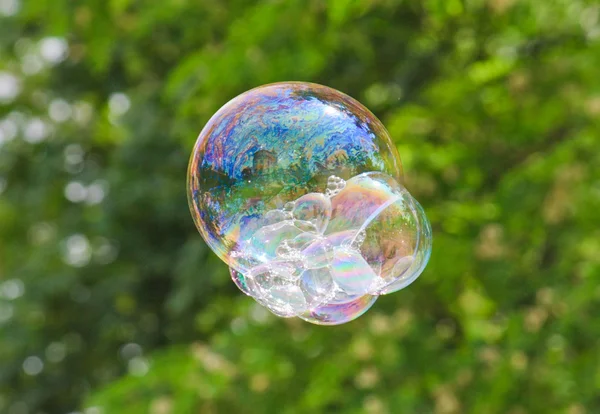 stock image Soap bubble on a floral background