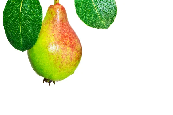 Fresh pear with greeen leaves — Stock Photo, Image