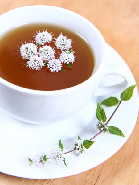 Green tea with flowers of peppermint — Stock Photo, Image
