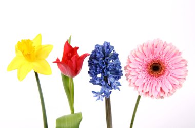 Flowers clipart