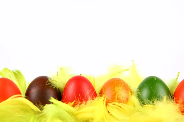 Colorful eggs background — Stock Photo, Image