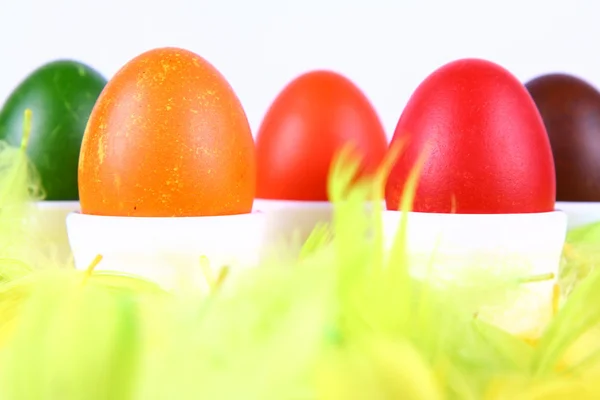 Colorful eggs — Stock Photo, Image