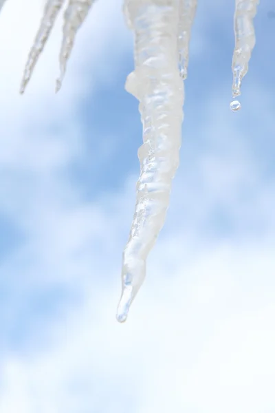 融化冰柱 — 图库照片