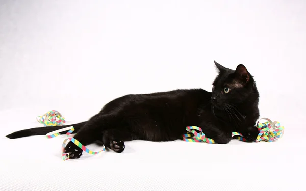Gato preto e streamers — Fotografia de Stock