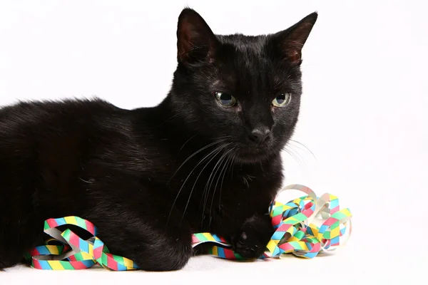 Gato negro y serpentinas —  Fotos de Stock