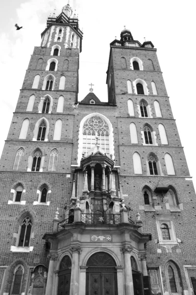 St. Mary's Basilica in Krakow — Stock Fotó