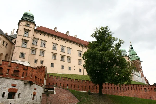 Вейвельский замок в Кракове — стоковое фото