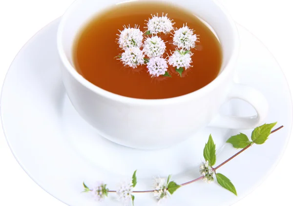 Filiżankę zielonej herbaty na białym tle — Zdjęcie stockowe