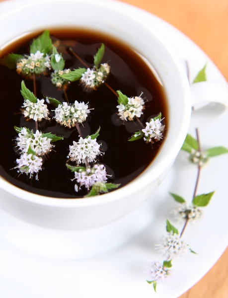 Tea with mint twigs — Stock Photo, Image