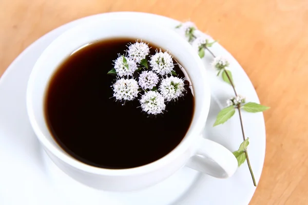 Chá decorado com flores de hortelã — Fotografia de Stock