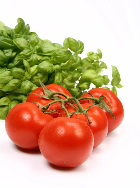 Tomatoes and basil — Stock Photo, Image