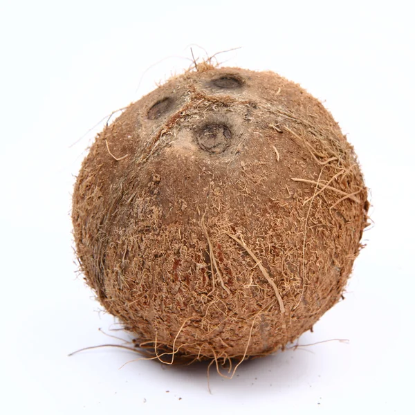 Kokosnoot — Stockfoto