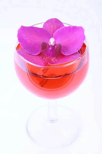 蘭の花とピンクのワイン — ストック写真