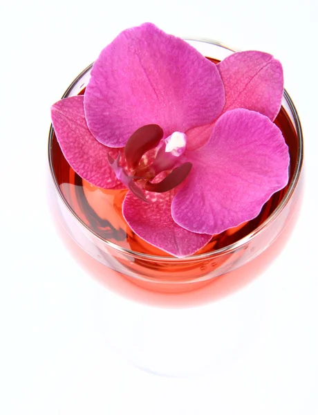 Wein mit Orchidee dekoriert — Stockfoto