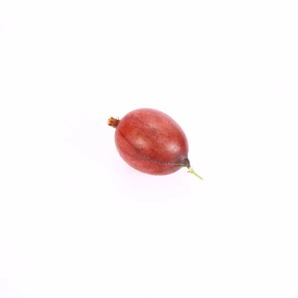 Kırmızı bektaşi üzümü — Stok fotoğraf