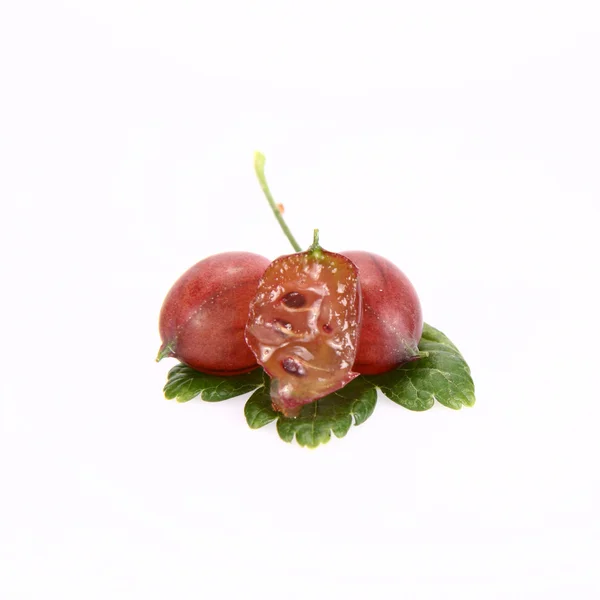 Uva spina rossa — Foto Stock