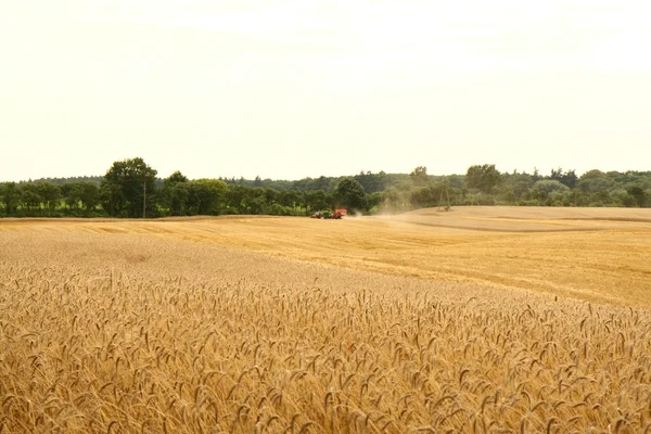 Combinação e tractor: colheita de centeio — Fotografia de Stock