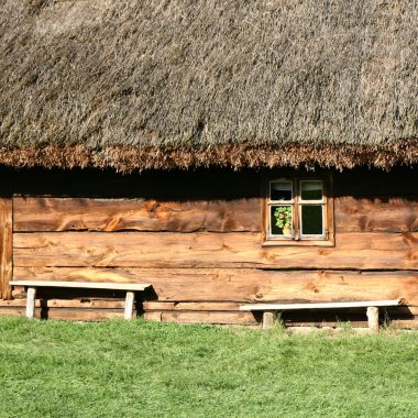 thatched çatı ev