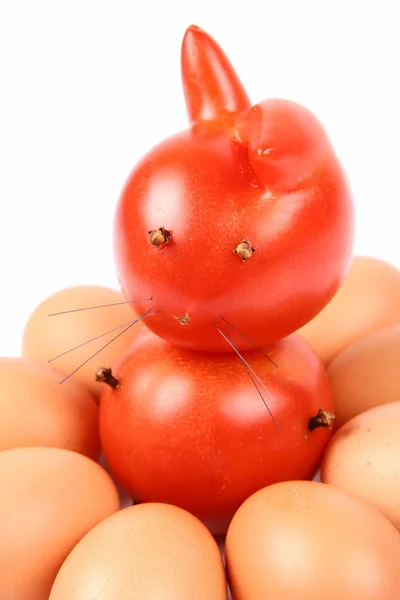 Conejo de tomate y huevos —  Fotos de Stock