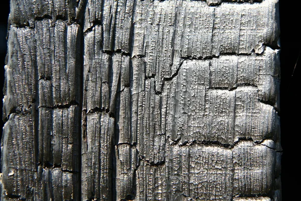 Καμένο ξύλο ιστορικό — Φωτογραφία Αρχείου
