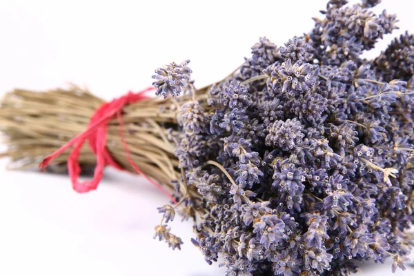 Bund getrockneter Lavendel — Stockfoto