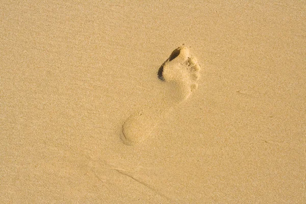 Kumda ayak izleri — Stok fotoğraf