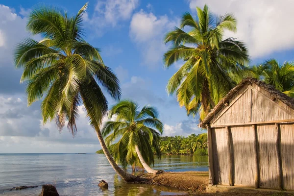Paesaggio tropicale — Foto Stock