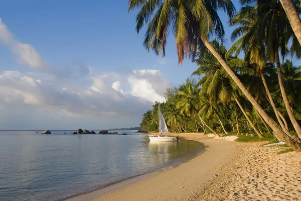Tropická pláž krajina — Stock fotografie