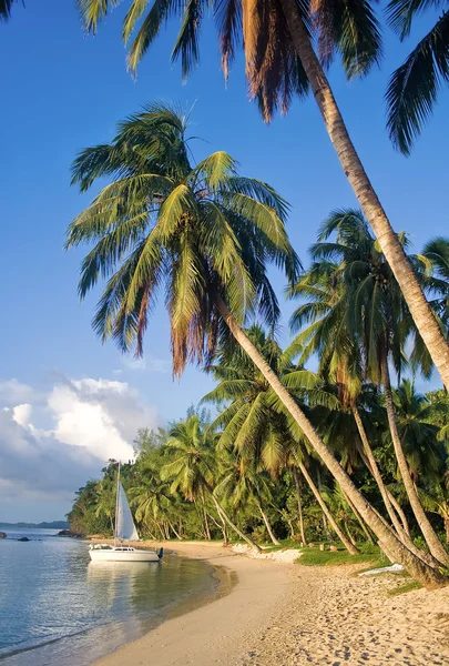 Peisaj tropical pe plajă — Fotografie, imagine de stoc