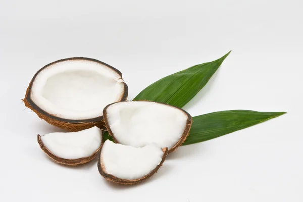 Kokosfrucht — Stockfoto