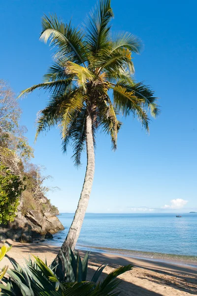Тропічний пляж краєвид — стокове фото