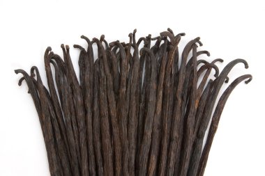 önyükleme vanilya