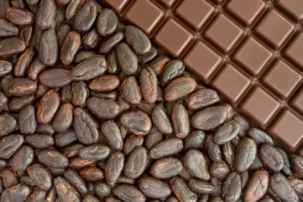 Kakao und Schokolade — Stockfoto