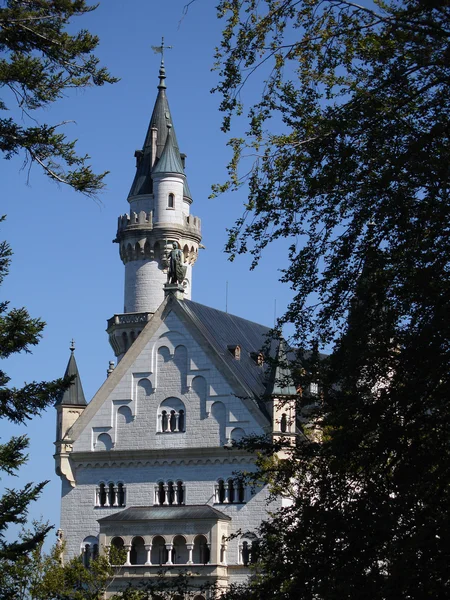 Castle neuschwanstein - orman Manzaralı