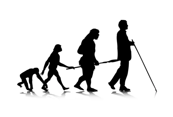 Menschliche Evolution 3 — Stockvektor