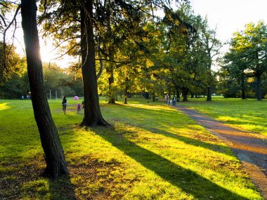 sonbahar günü Park